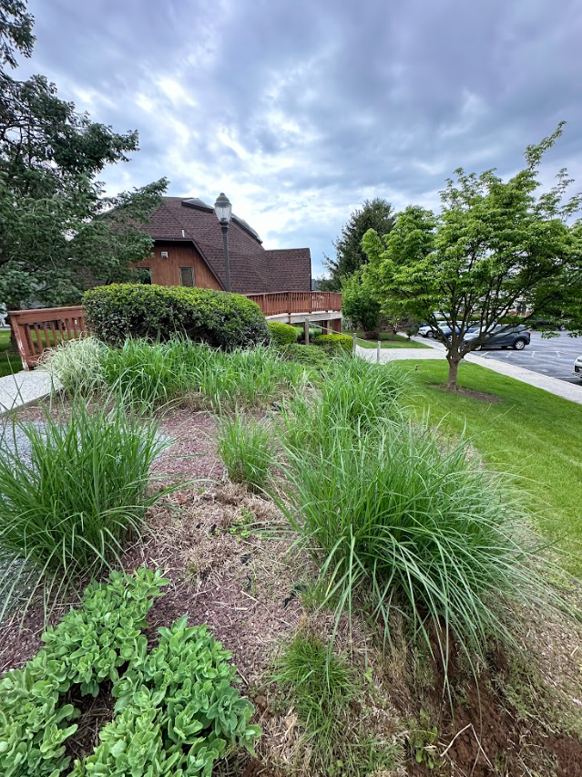 Front yard before landscaping