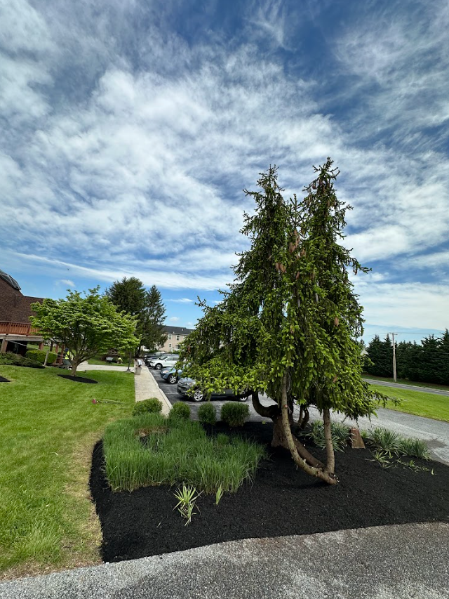 Flower Garden Installation