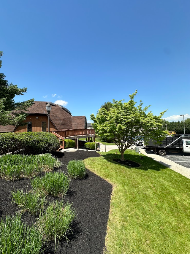 Front yard after landscaping